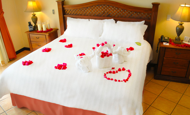 complet honeymoon tour package of himachal