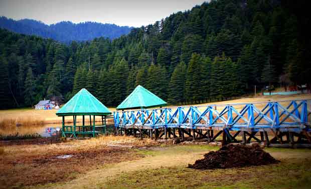 Dalhousie Dharamshala Honeymoon Package 4 Nights / 5 Days