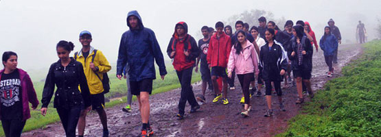 Himalayan Walks - Explore & Experience