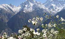 Kinnaur Kalpa Travel Guide