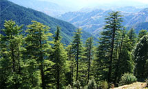 Top of Hill view in Shimla