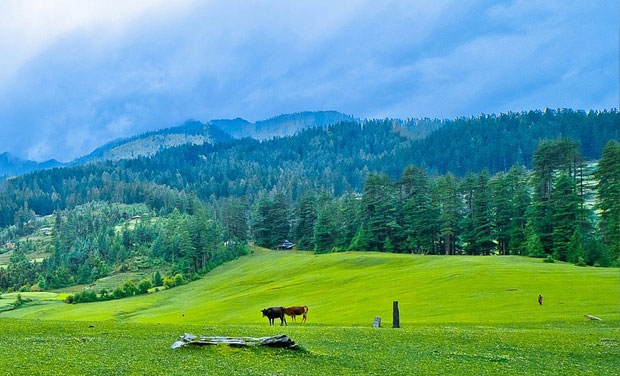 Shimla Manali Chandigarh Tour Package